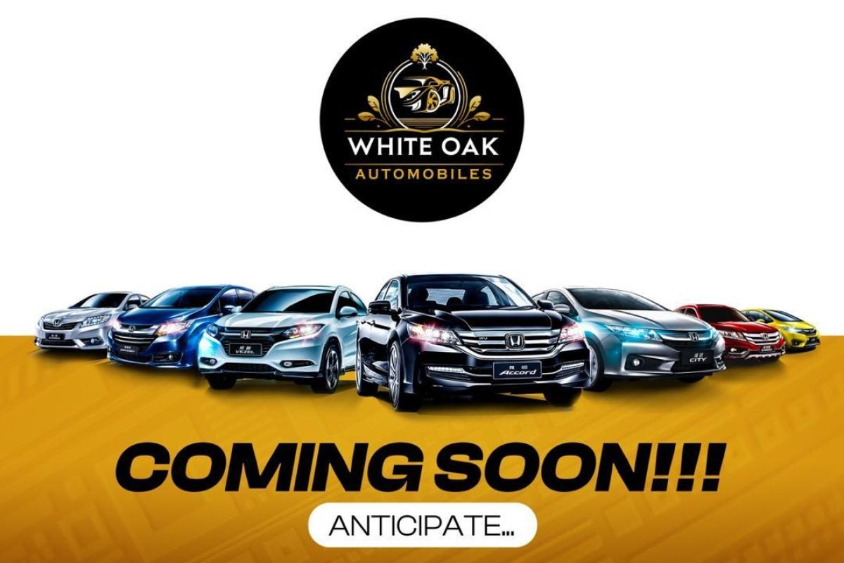 WhatsApp Image 2024-11-30 at 23.56.07_118f8c24