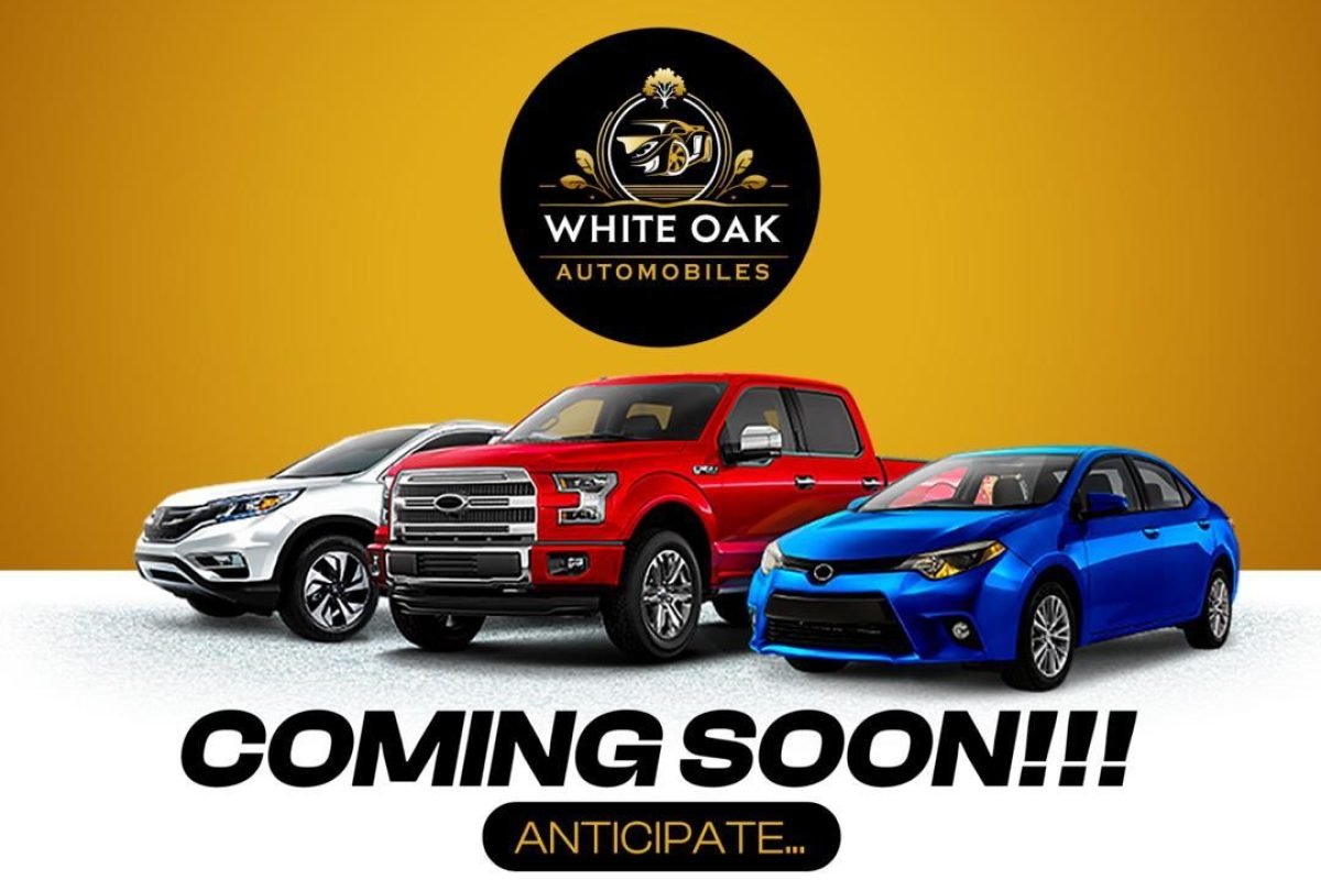 WhatsApp Image 2024-11-30 at 23.56.07_478562f5