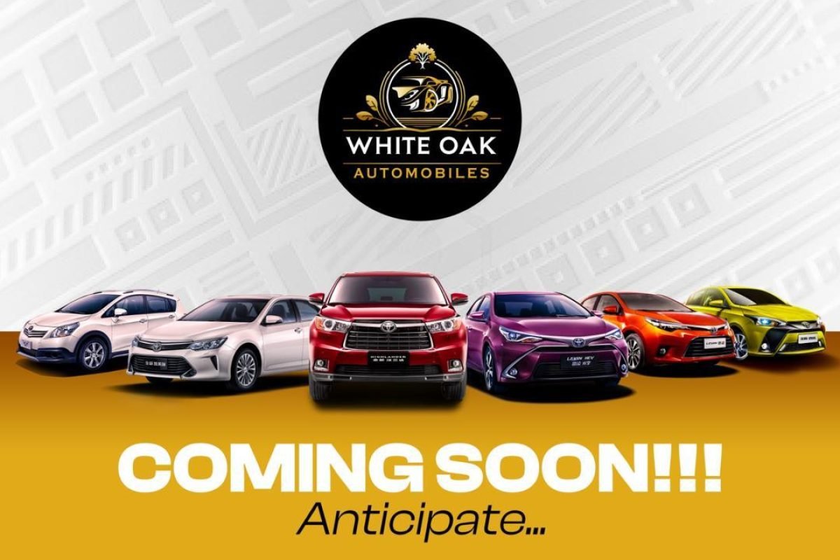 WhatsApp Image 2024-11-30 at 23.56.07_b5e43729