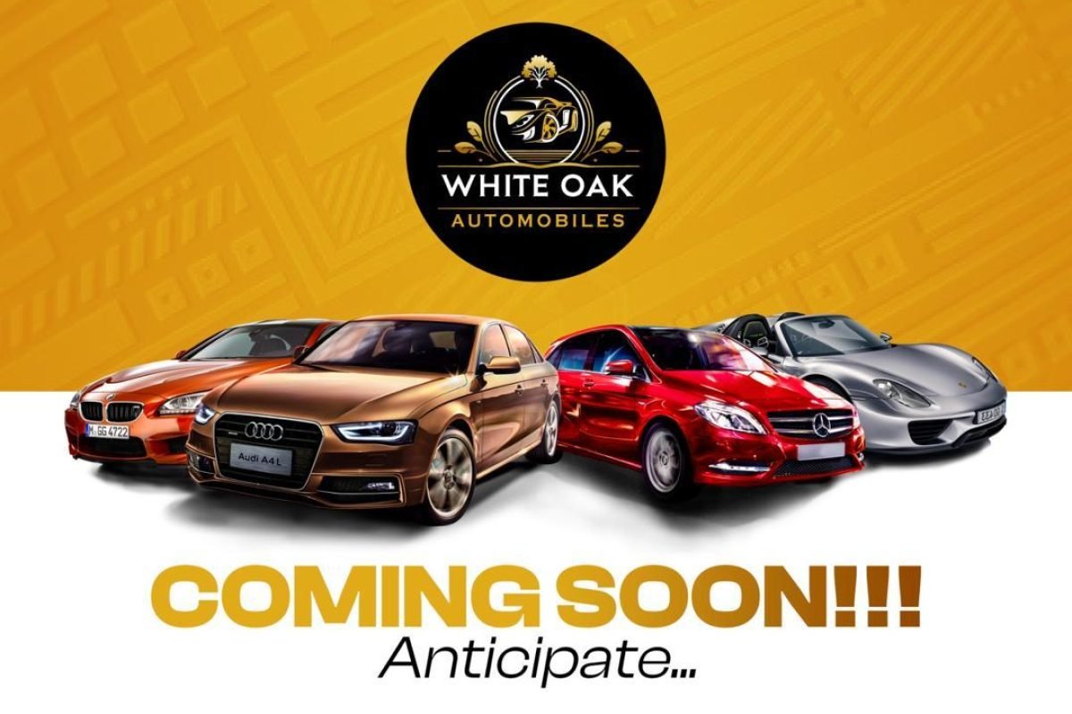 WhatsApp Image 2024-11-30 at 23.56.07_bd6eb0a3